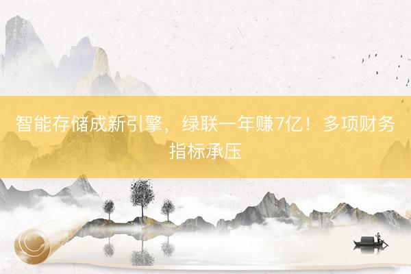 智能存储成新引擎，绿联一年赚7亿！多项财务指标承压