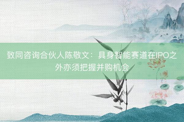 致同咨询合伙人陈敬文：具身智能赛道在IPO之外亦须把握并购机会