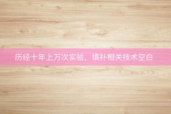 历经十年上万次实验，填补相关技术空白 