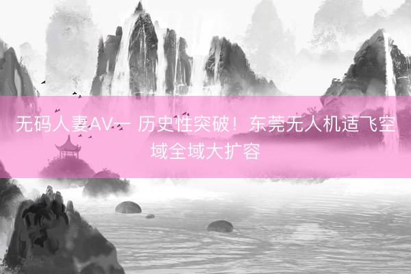 无码人妻AV一 历史性突破！东莞无人机适飞空域全域大扩容