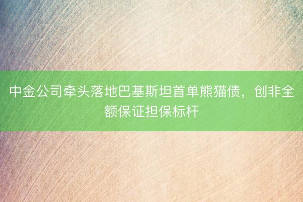 中金公司牵头落地巴基斯坦首单熊猫债，创非全额保证担保标杆