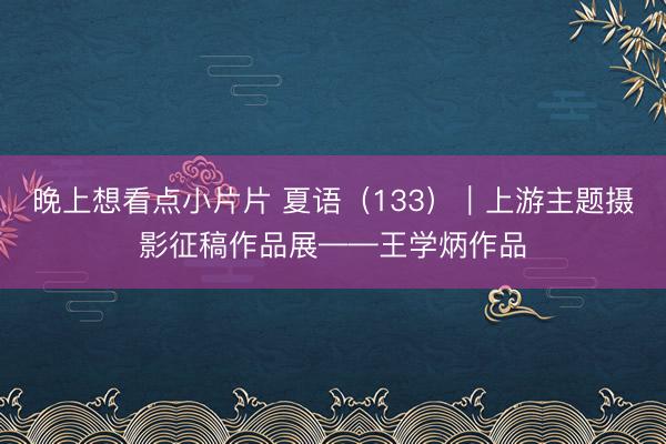 晚上想看点小片片 夏语（133）｜上游主题摄影征稿作品展——王学炳作品
