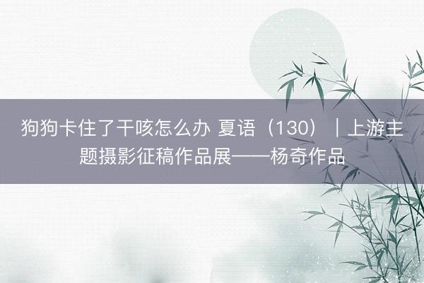 狗狗卡住了干咳怎么办 夏语（130）｜上游主题摄影征稿作品展——杨奇作品