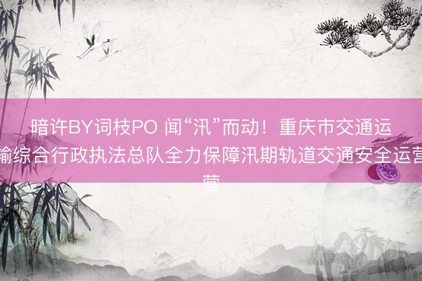 暗许BY词枝PO 闻“汛”而动！重庆市交通运输综合行政执法总队全力保障汛期轨道交通安全运营