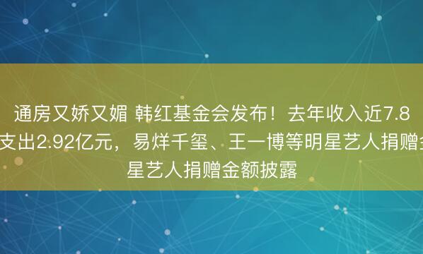 通房又娇又媚 韩红基金会发布！去年收入近7.83亿元，支出2.92亿元，易烊千玺、王一博等明星艺人捐赠金额披露