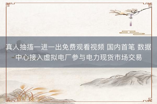 真人抽搐一进一出免费观看视频 国内首笔 数据中心接入虚拟电厂参与电力现货市场交易