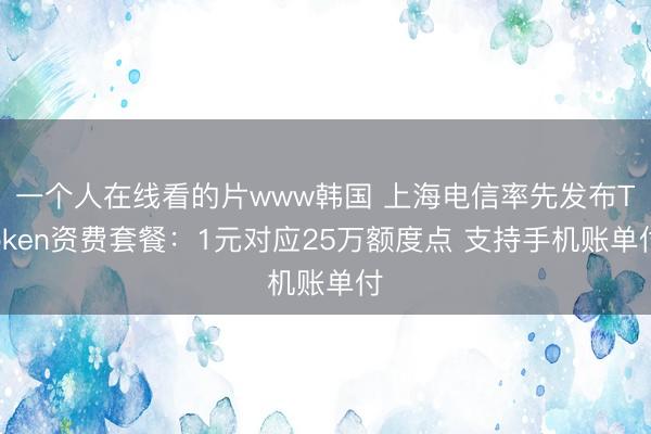 一个人在线看的片www韩国 上海电信率先发布Token资费套餐：1元对应25万额度点 支持手机账单付