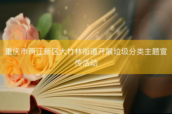 重庆市两江新区大竹林街道开展垃圾分类主题宣传活动