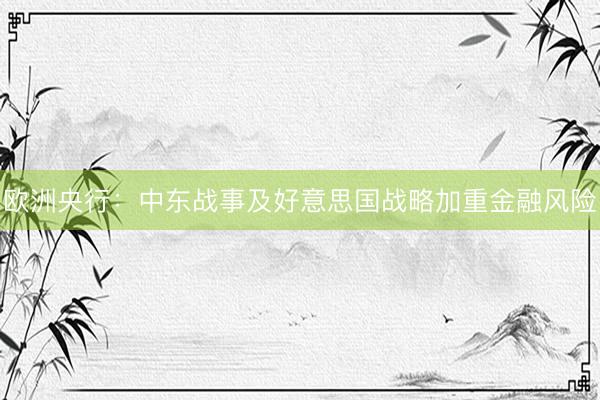 欧洲央行：中东战事及好意思国战略加重金融风险