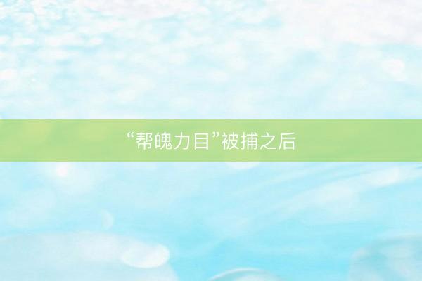 “帮魄力目”被捕之后