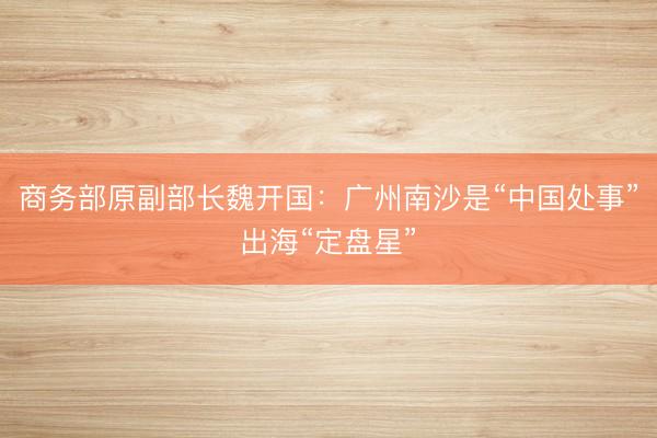 商务部原副部长魏开国：广州南沙是“中国处事”出海“定盘星”