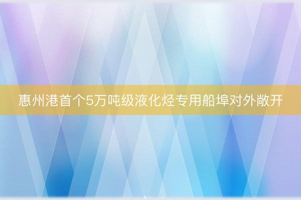 惠州港首个5万吨级液化烃专用船埠对外敞开