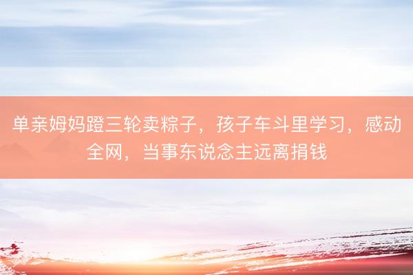 单亲姆妈蹬三轮卖粽子,孩子车斗里学习,感动全网,当事东说念主远离捐钱
