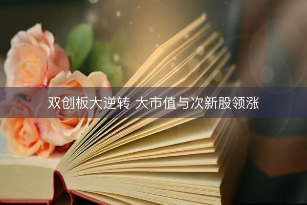 双创板大逆转 大市值与次新股领涨