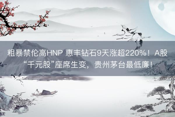 粗暴禁伦高HNP 惠丰钻石9天涨超220%！A股“千元股”座席生变，贵州茅台最低廉！
