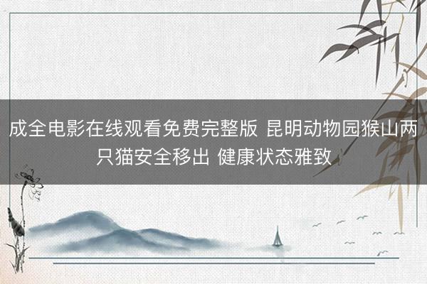 成全电影在线观看免费完整版 昆明动物园猴山两只猫安全移出 健康状态雅致