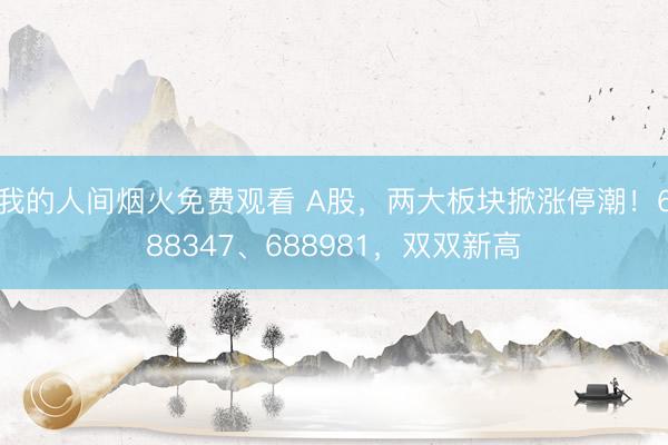 我的人间烟火免费观看 A股,两大板块掀涨停潮!688347、688981,双双新高