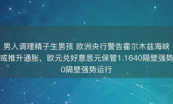 男人调理精子生男孩 欧洲央行警告霍尔木兹海峡风险或推升通胀，欧元兑好意思元保管1.1640隔壁强势运行