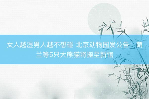 女人越湿男人越不想碰 北京动物园发公告：萌兰等5只大熊猫将搬至新馆