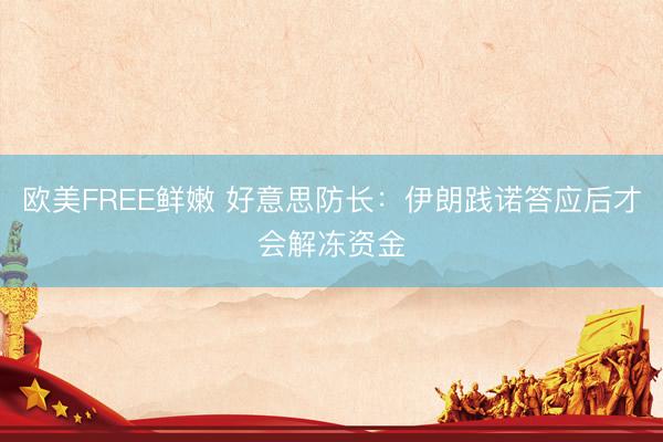 欧美FREE鲜嫩 好意思防长：伊朗践诺答应后才会解冻资金