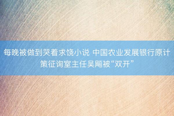 每晚被做到哭着求饶小说 中国农业发展银行原计策征询室主任吴飚被“双开”