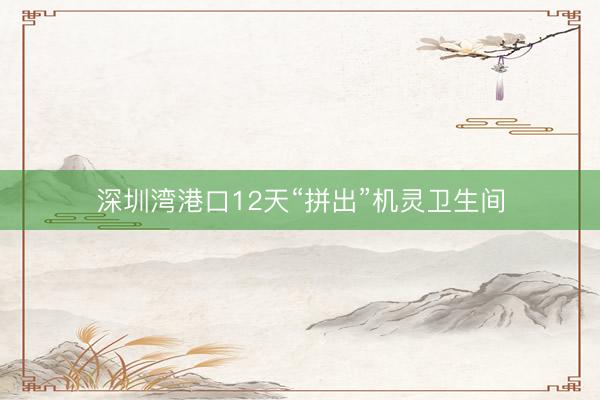 深圳湾港口12天“拼出”机灵卫生间
