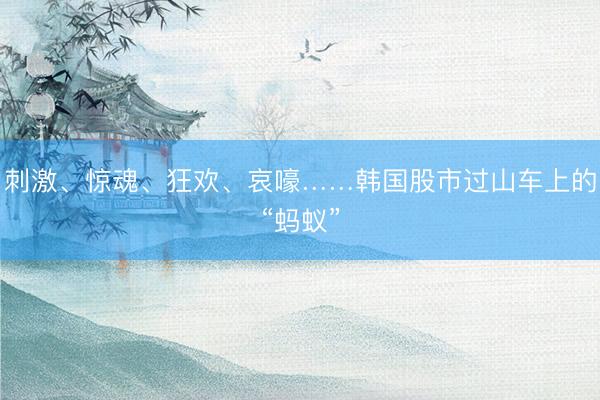 刺激、惊魂、狂欢、哀嚎……韩国股市过山车上的“蚂蚁”