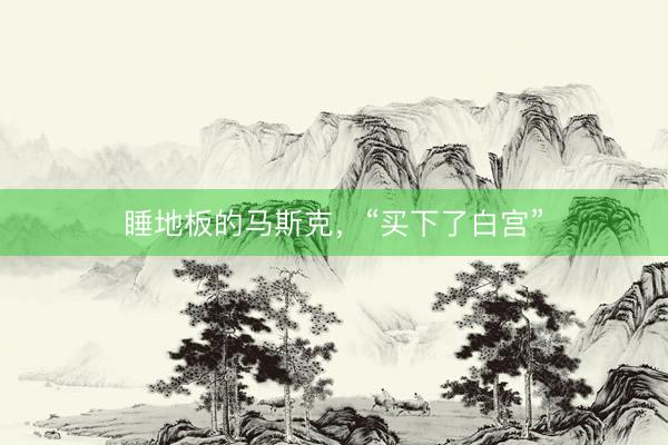 睡地板的马斯克，“买下了白宫”