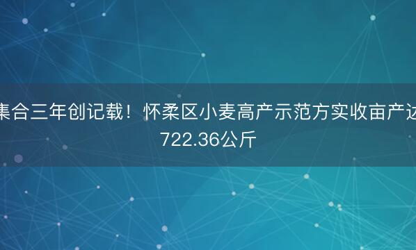集合三年创记载！怀柔区小麦高产示范方实收亩产达722.36公斤
