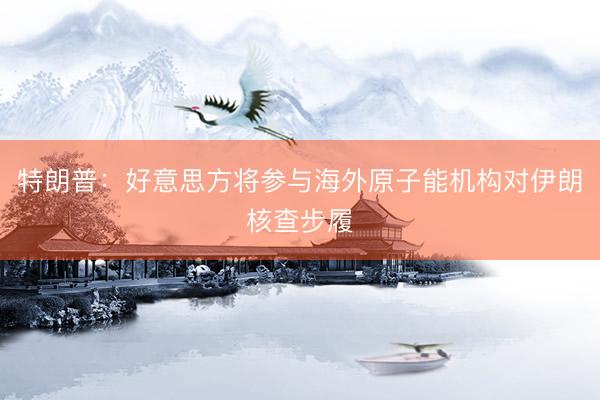 特朗普：好意思方将参与海外原子能机构对伊朗核查步履